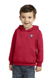 Toddler Pullover Hooded Sweatshirt - NFL Alumni Store
